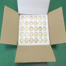 東莞石鼓紙箱廠 塘廈石馬珍珠棉紙箱定做服務與高清大圖展示